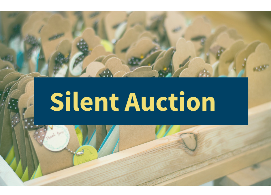 Our Silent Auction Needs You!